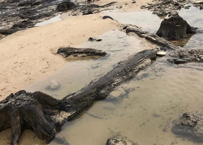 Feriehus By The Sea *