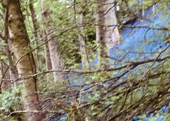 Prázdninový dům By The Sea Redcar